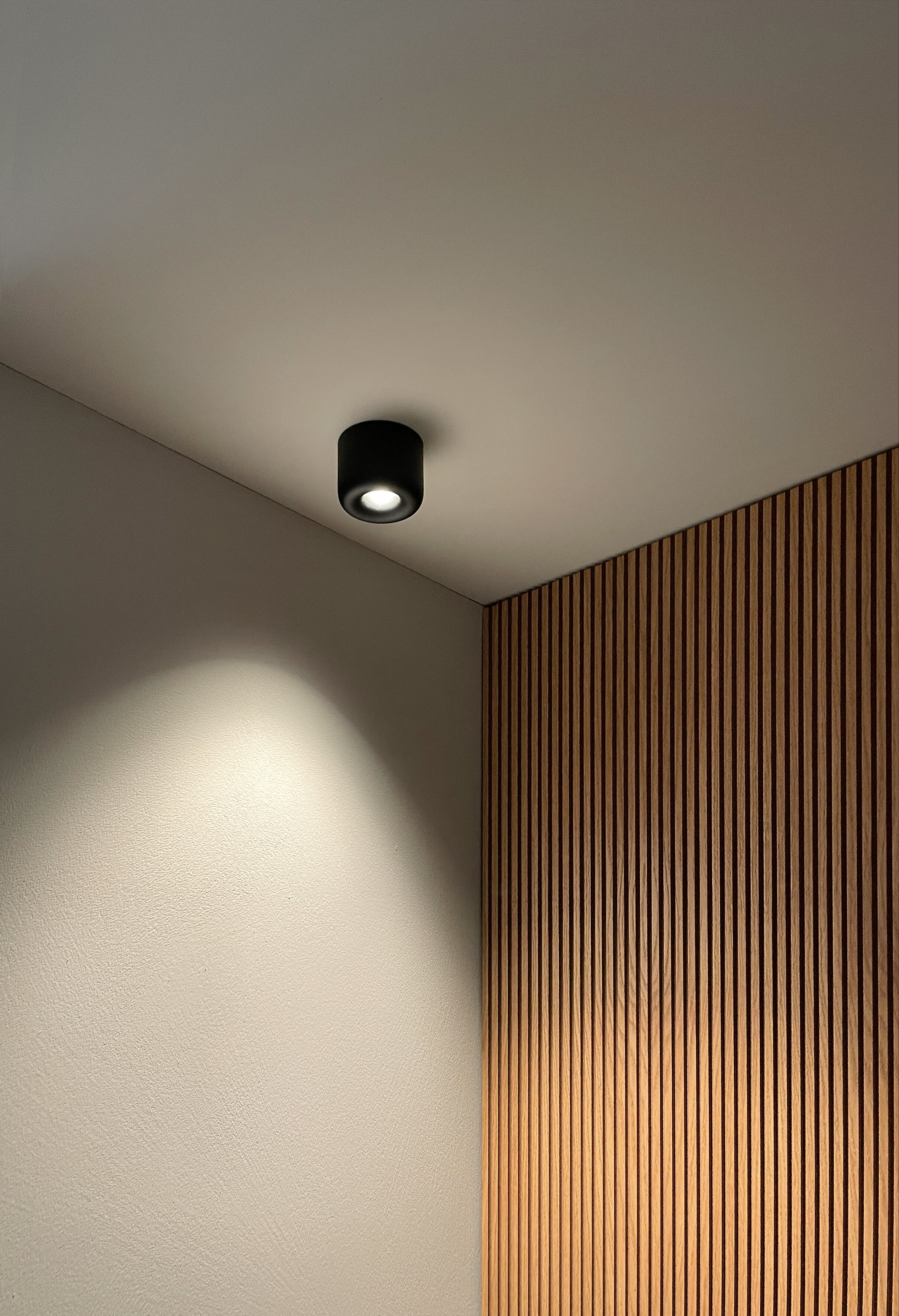 CAVITY Ceiling L black